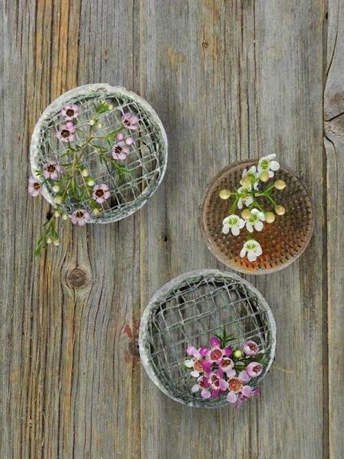 ASSORTED 2 -3 COLORS WAXFLOWER